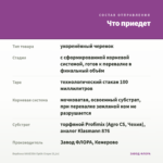Вербена VANESSA Optik Grape (0,1л) — что приедет