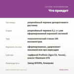 Вербена VANESSA Optik Grape (0,1л) — что приедет