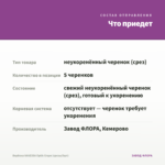 Вербена VANESSA Optik Grape (срезы/5шт) — что приедет