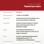 Вербена Vanessa Red (0,1л) — параметры сорта