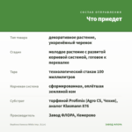 Вербена Vanessa White Imp. (0,1л) — что приедет