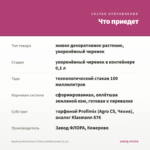 Вербена Wicked Dark Pink Confetti Garden (0,1л) — что приедет