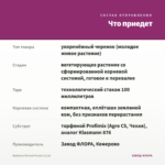 Вербена Wicked Purple (0,1л) — что приедет