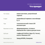 Вербена Wicked Purple (0,1л) — что приедет