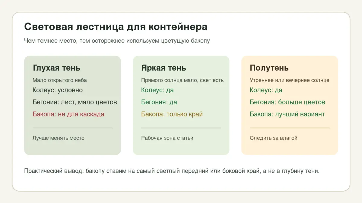 Световая лестница для теневого контейнера: глухая тень, яркая тень и полутень с разной пригодностью колеуса, бегонии и бакопы