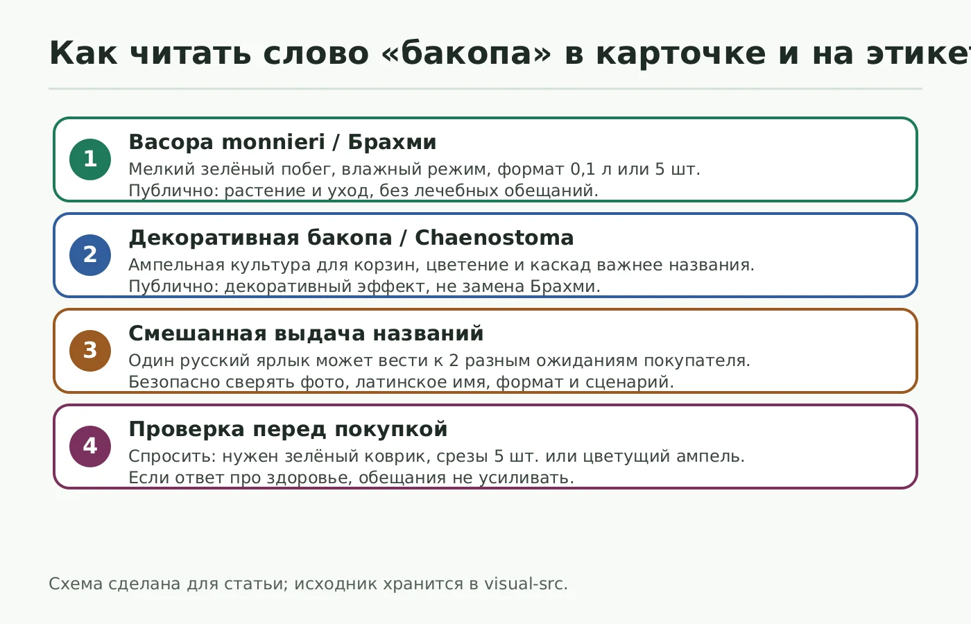 Схема развилки названий Бакопа Монье Брахми декоративная бакопа и старое имя Sutera