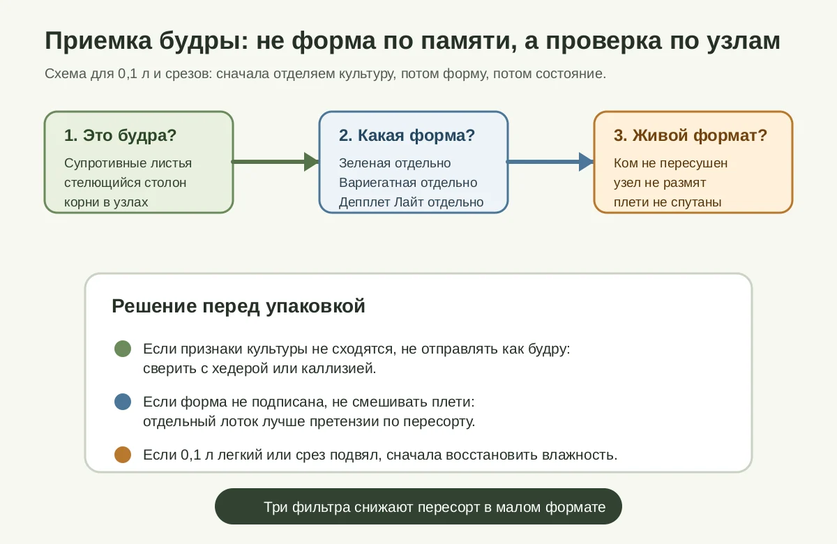 Схема приемки будры по трем фильтрам: культура, форма и живой формат