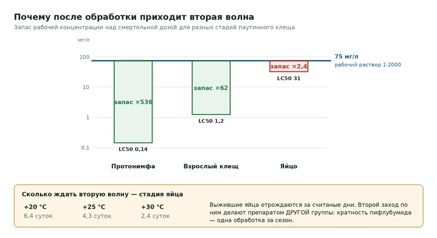 Диаграмма запаса рабочей концентрации над полулетальными концентрациями пифлубумида для протонимфы, имаго и яйца паутинного клеща