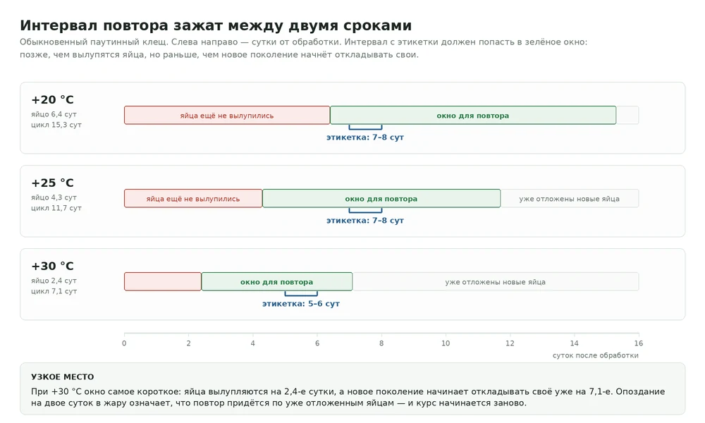 Схема: длительность стадии яйца, полный цикл развития паутинного клеща и интервал повторной обработки с этикетки при +20, +25 и +30 °C
