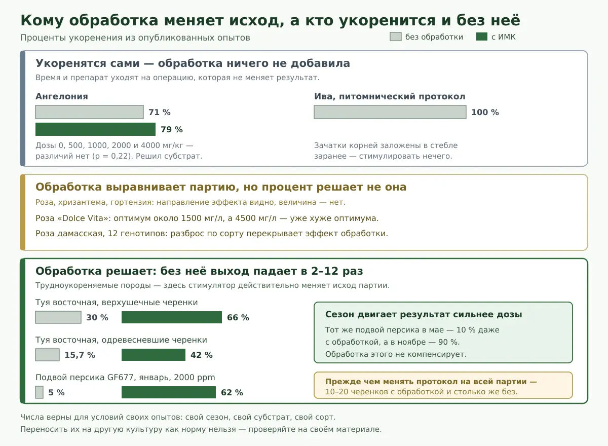 Три группы культур по отзывчивости на обработку ауксином с процентами укоренения в опытах: без эффекта, промежуточная группа и трудноукореняемые породы