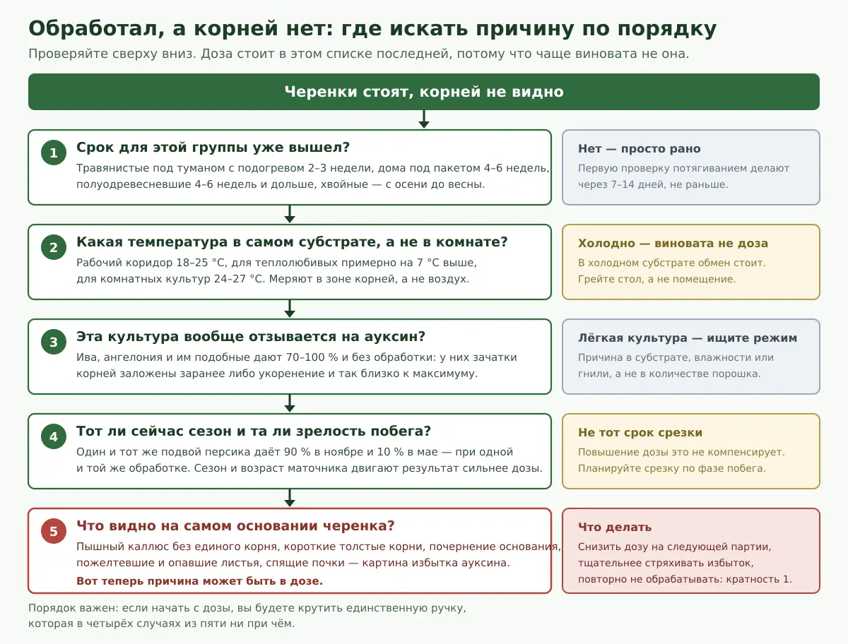 Порядок диагностики из пяти шагов: срок, температура субстрата, отзывчивость культуры, сезон и зрелость побега, и только потом доза препарата