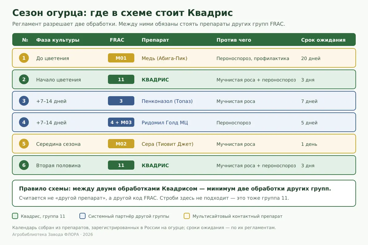 Календарь обработок огурца за сезон с указанием фазы культуры, кода группы FRAC, препарата, целевой болезни и срока ожидания; две обработки Квадрисом разделены препаратами других групп