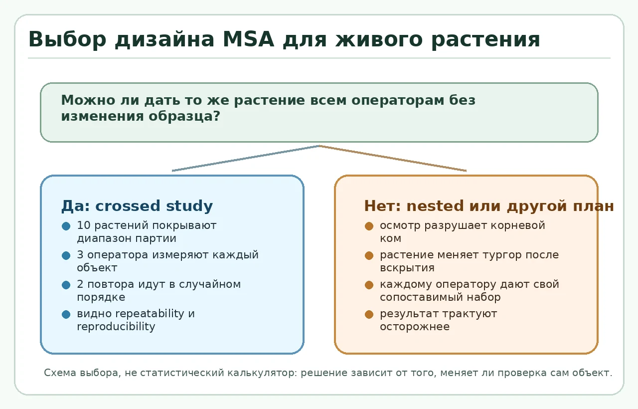 схема выбора crossed или nested Gage R&R для растений