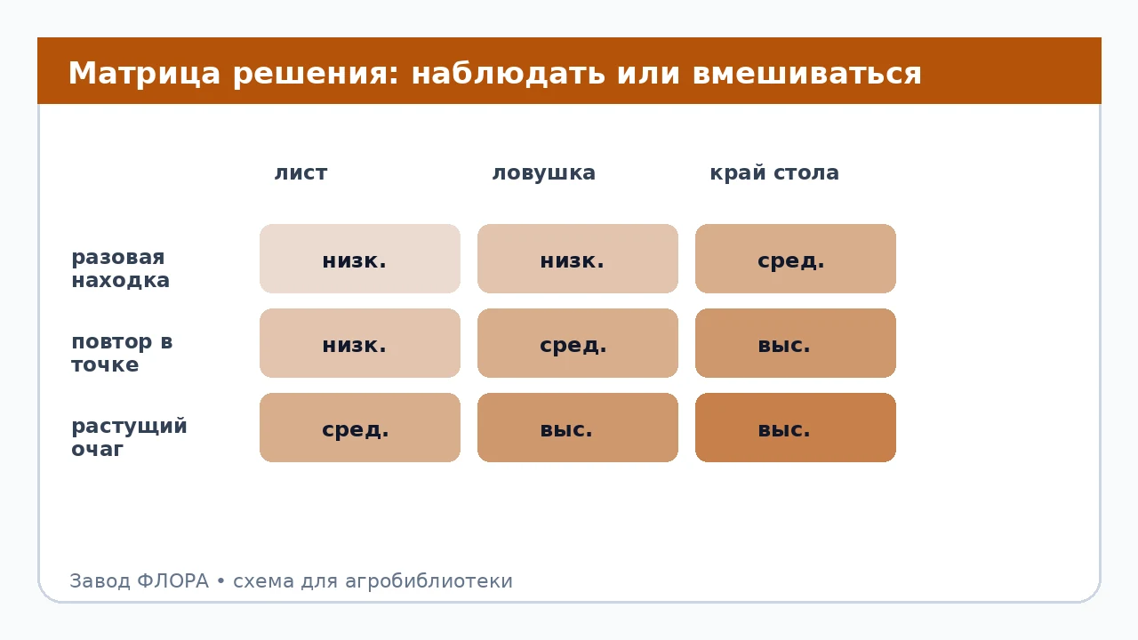 Матрица решения: наблюдать или вмешиваться
