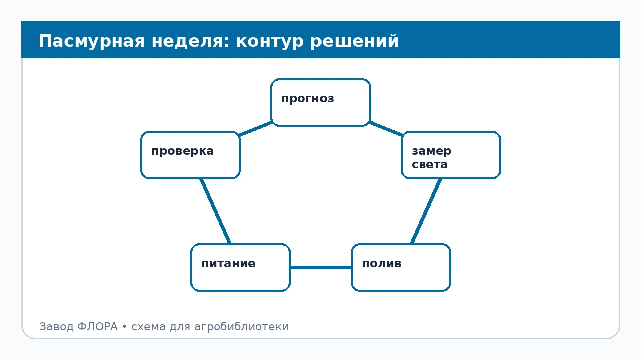 Пасмурная неделя: контур решений