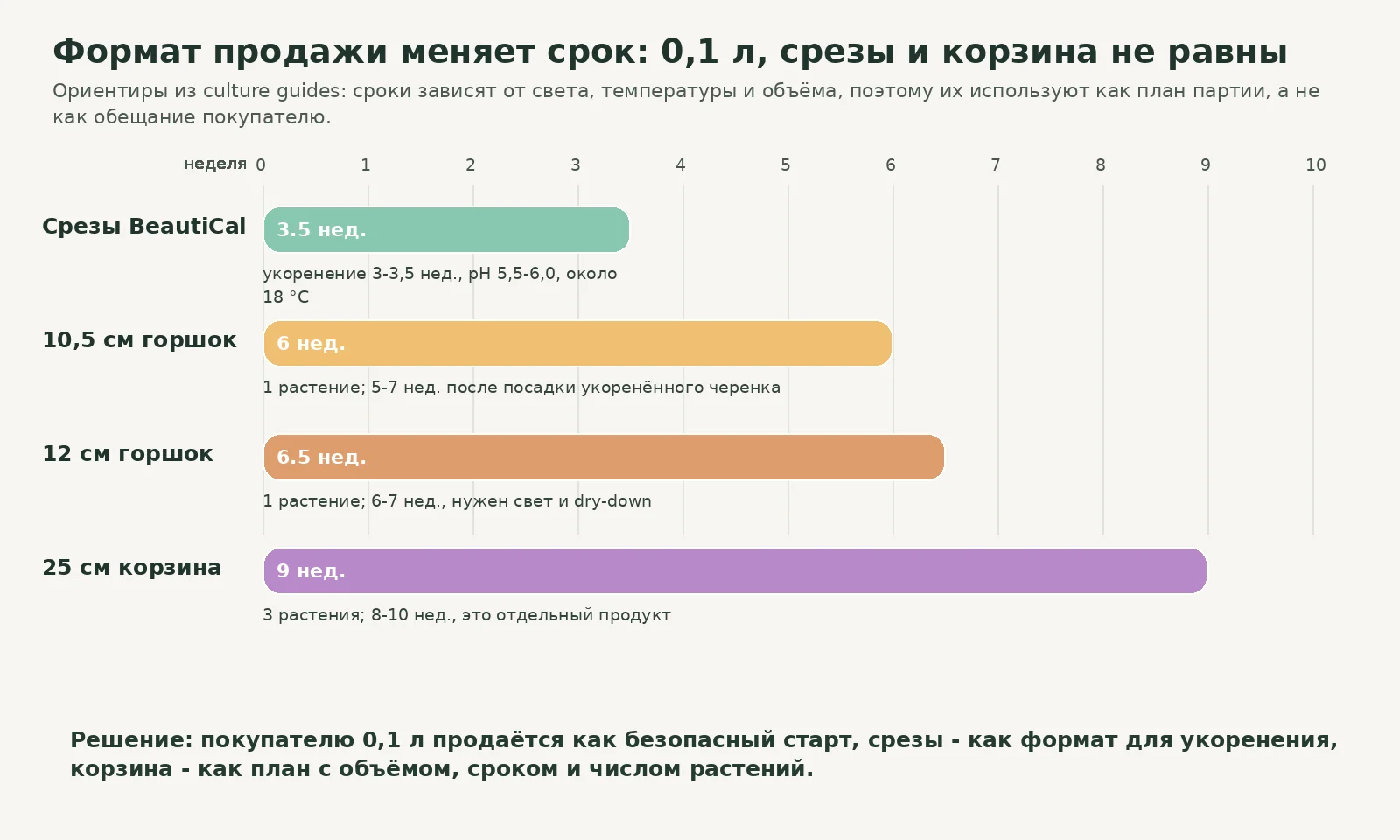 Сроки выращивания петхоа BeautiCal для срезов, горшка 0,1 л и корзины