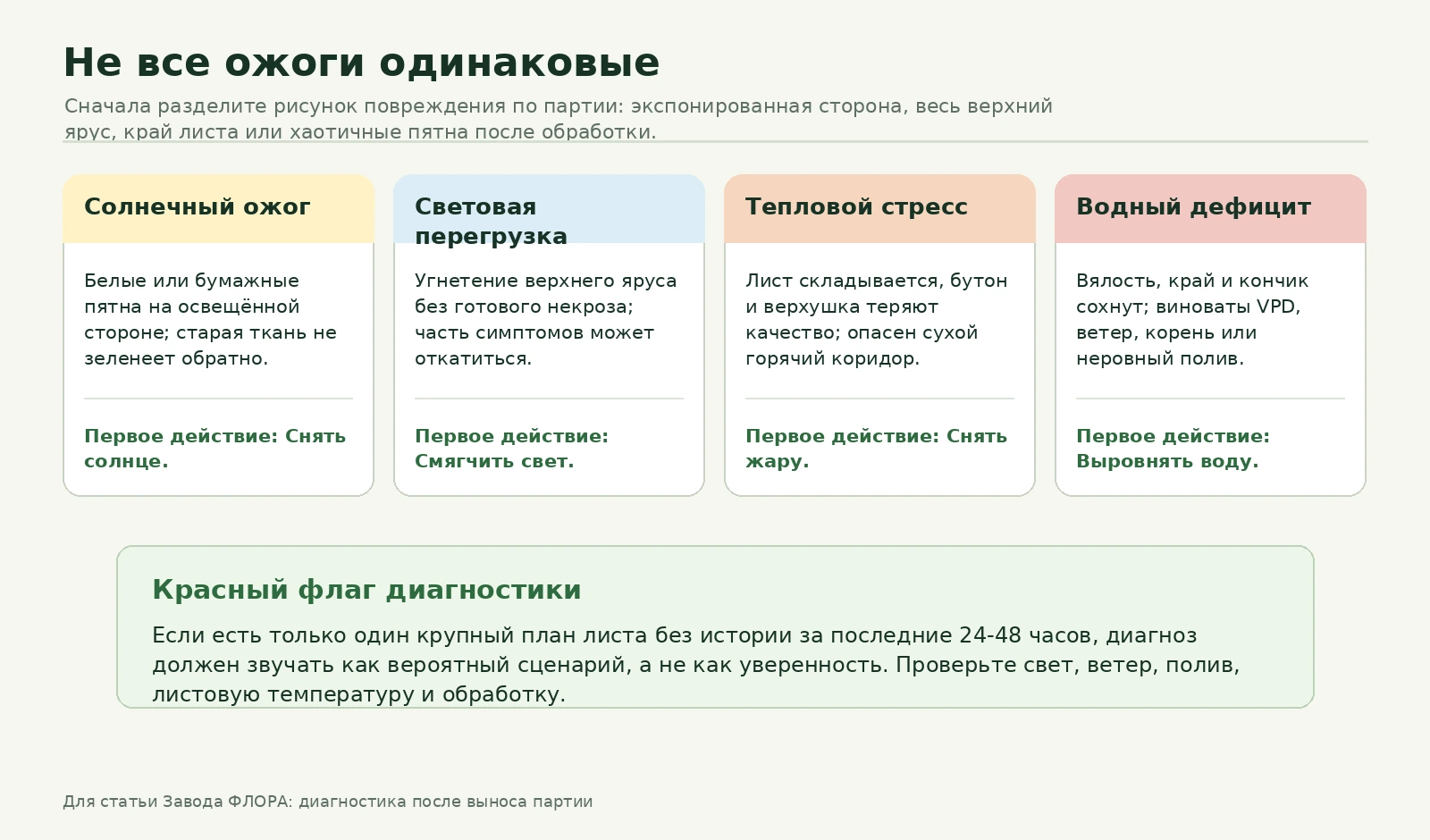 Матрица отличий солнечного ожога, световой перегрузки, теплового стресса и водного дефицита после выноса растений