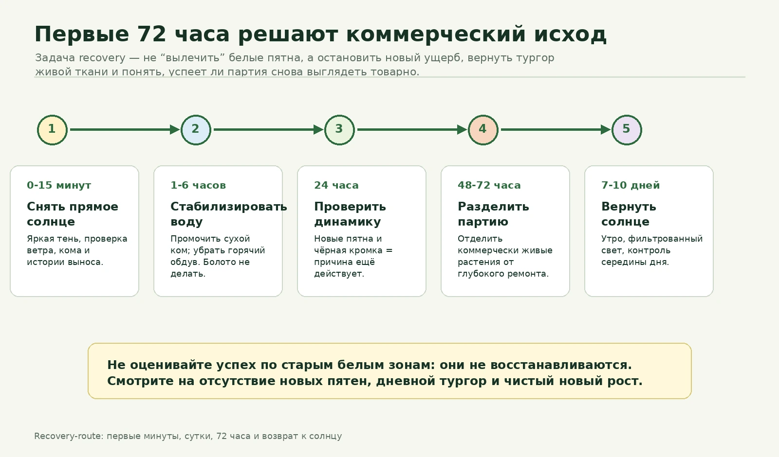 Маршрут восстановления партии после солнечного ожога и перегрева на первые 72 часа